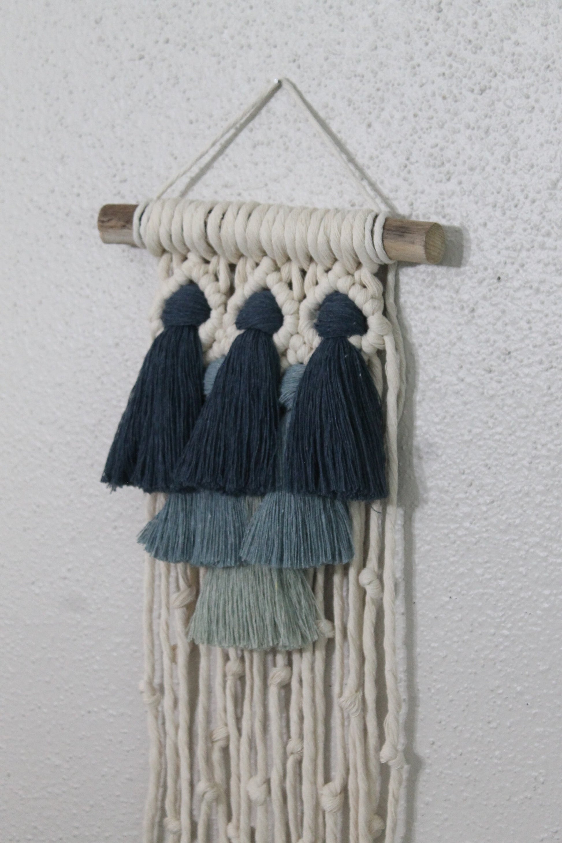 Small gradient tassel macrame wall hanging | wall art | boho | wall decor | wall tapestry | home decor